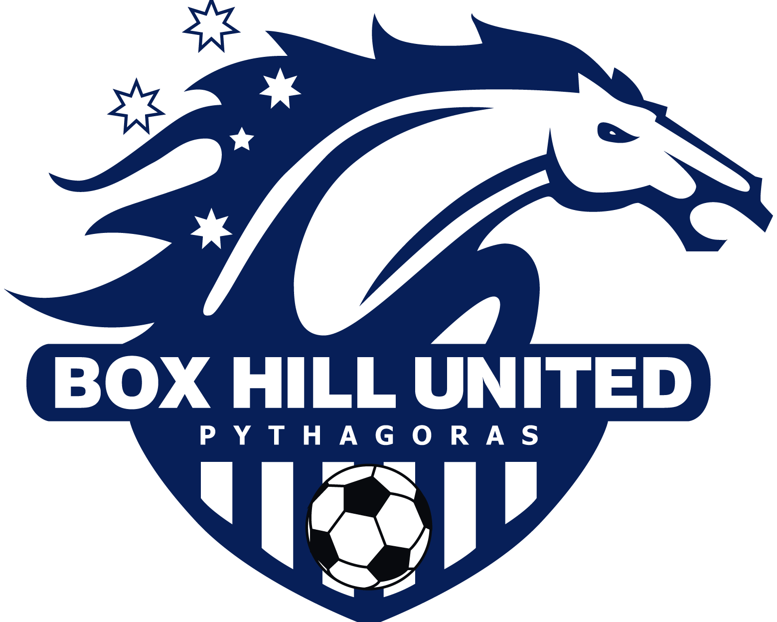 box hill united soccer