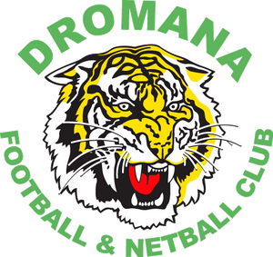 Dromana Football Club Testimonial SPT GPS