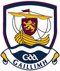 Galway Camogie GPS player tracking review - SPT