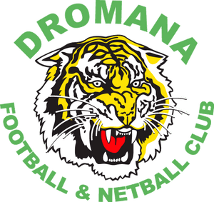 Sports Performance Tracking - Dromana Football Club