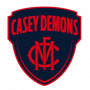 Sports Performance Tracking - Casey Demons Football